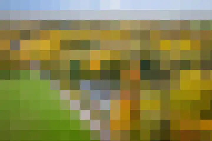 Nijenbeekseweg 6 Voorst thumbnail 46