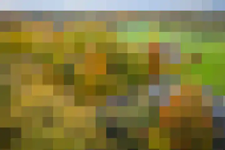 Nijenbeekseweg 6 Voorst thumbnail 48