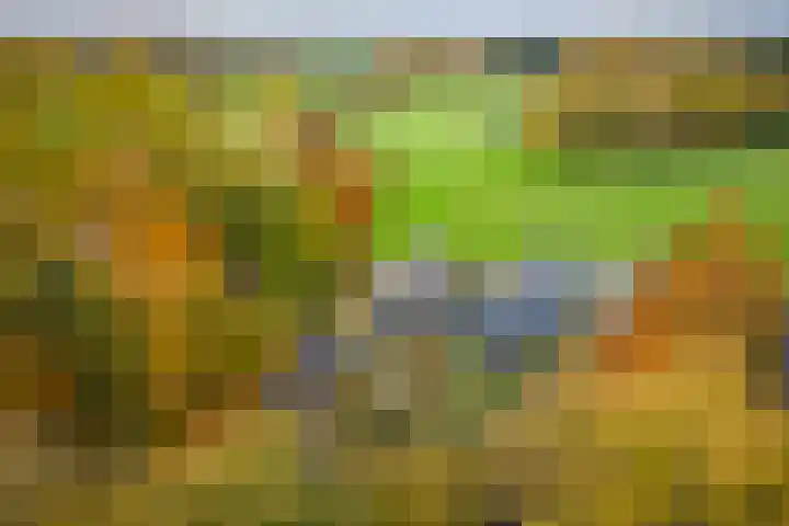 Nijenbeekseweg 6 Voorst thumbnail 49