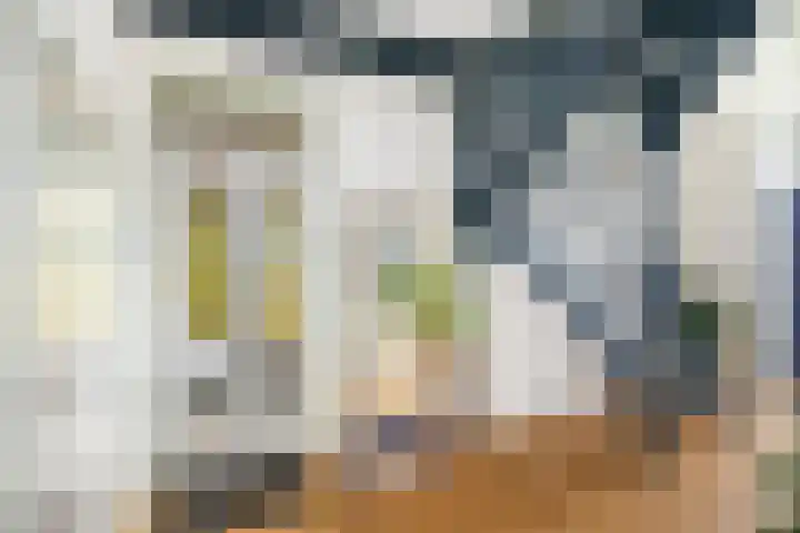 Nijenbeekseweg 6 Voorst thumbnail 5