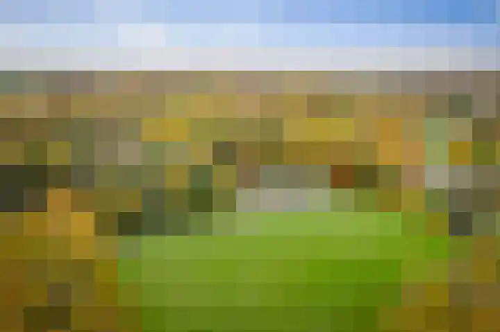 Nijenbeekseweg 6 Voorst thumbnail 50