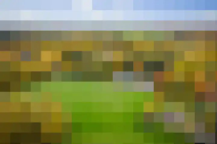 Nijenbeekseweg 6 Voorst thumbnail 51