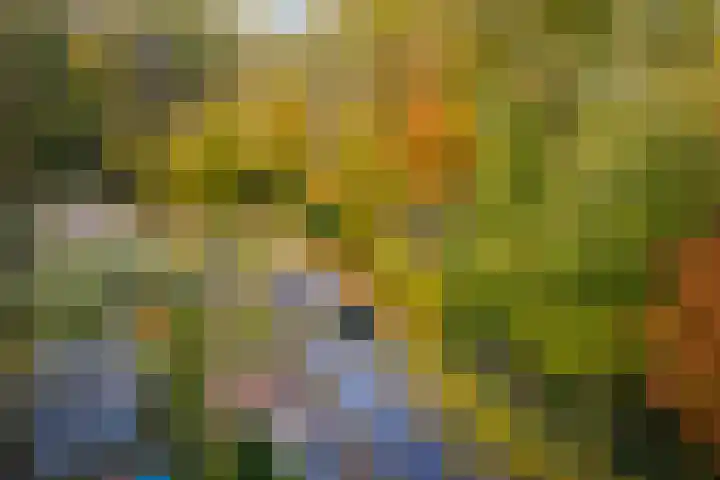 Nijenbeekseweg 6 Voorst thumbnail 52
