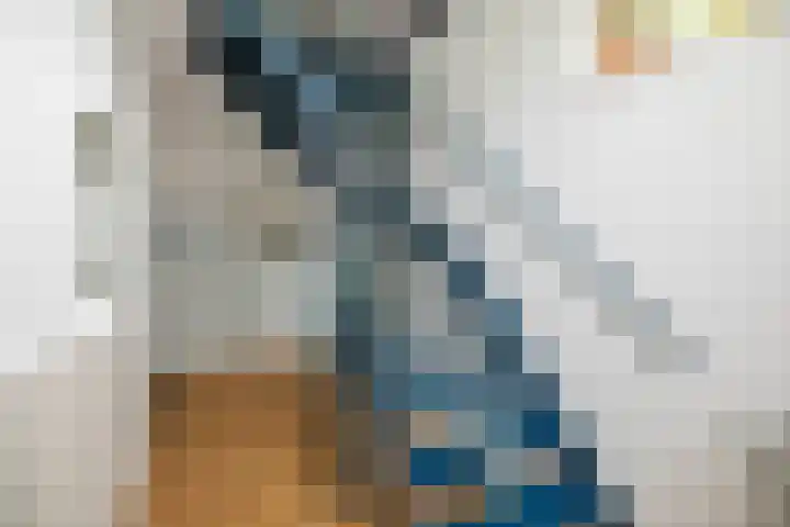 Nijenbeekseweg 6 Voorst thumbnail 6