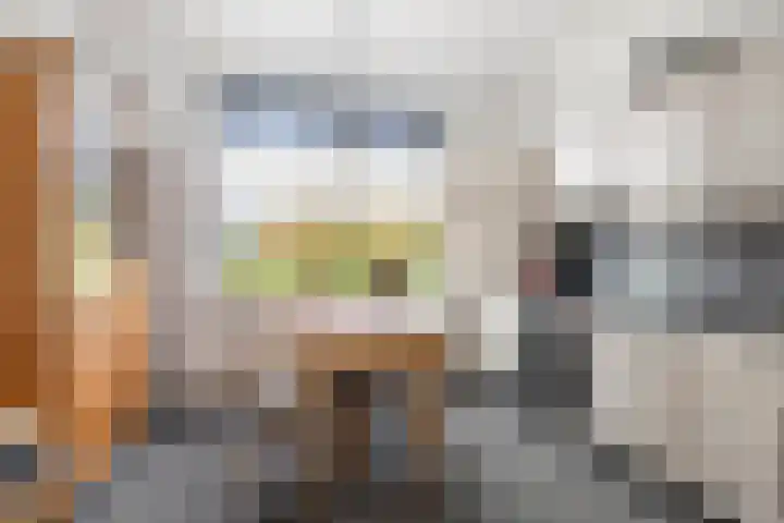 Nijenbeekseweg 6 Voorst thumbnail 8