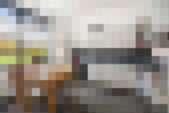 Nijenbeekseweg 6 Voorst thumbnail 9