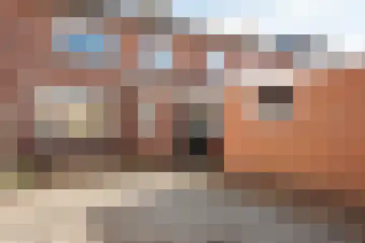 Nijenbeekstraat 43 Elburg thumbnail 34