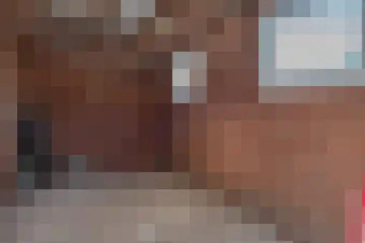 Nijenbeekstraat 43 Elburg thumbnail 36