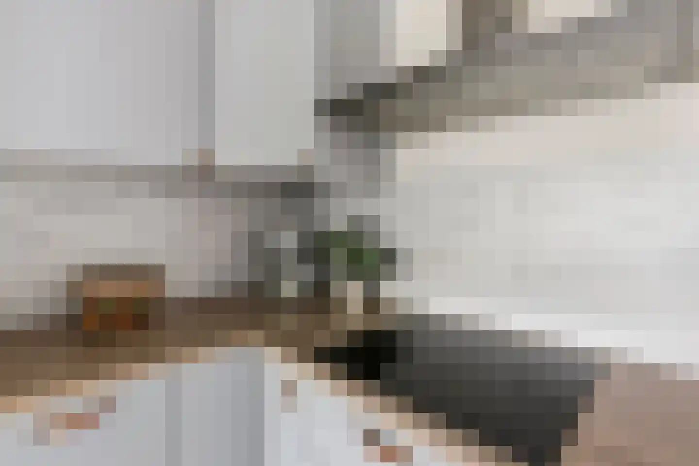 Nijenburg 1 Amsterdam thumbnail 14