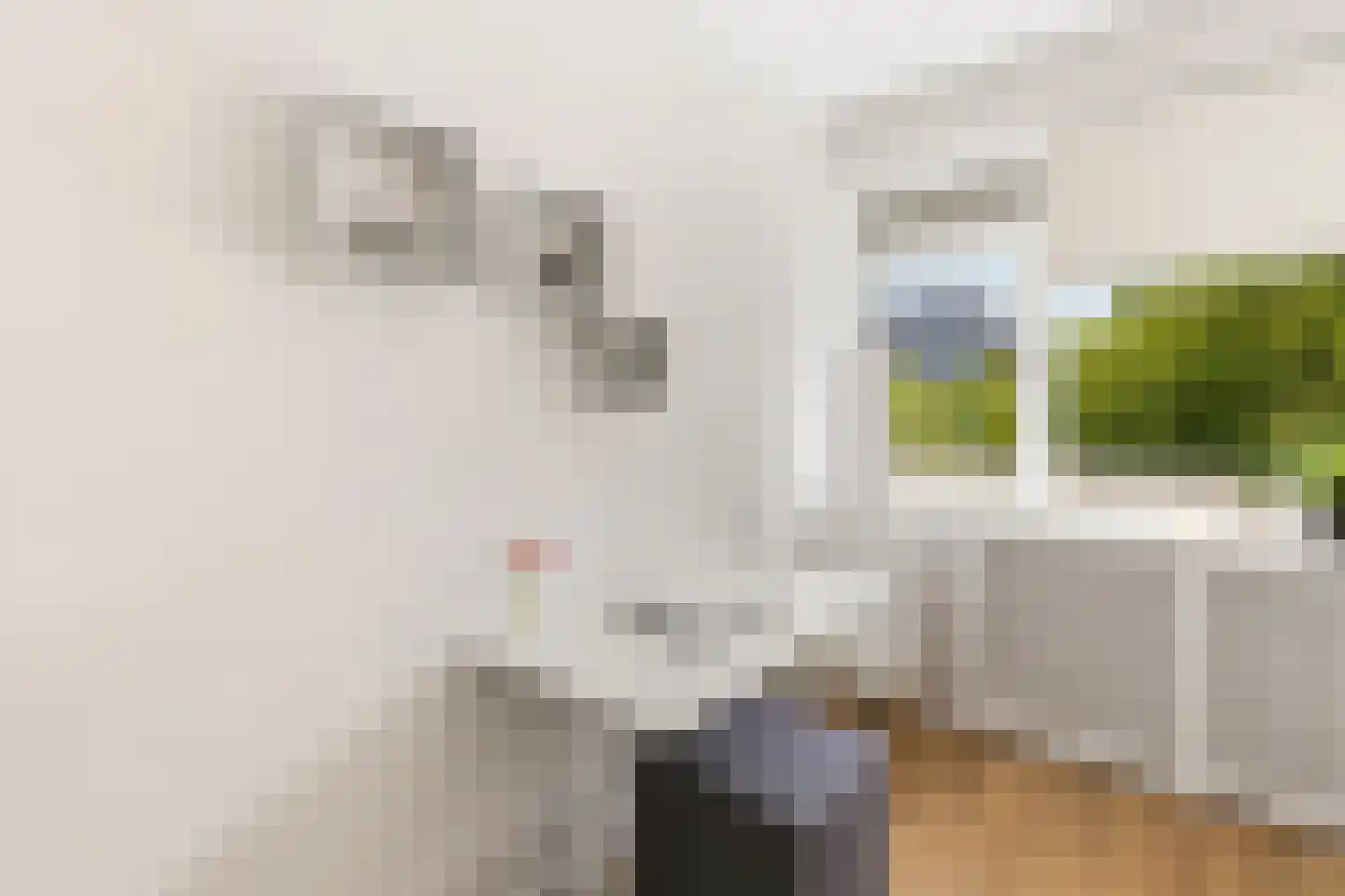 Nijenburg 1 Amsterdam thumbnail 24
