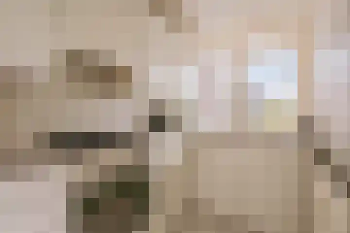 Nijenburg 19 Amsterdam thumbnail 14