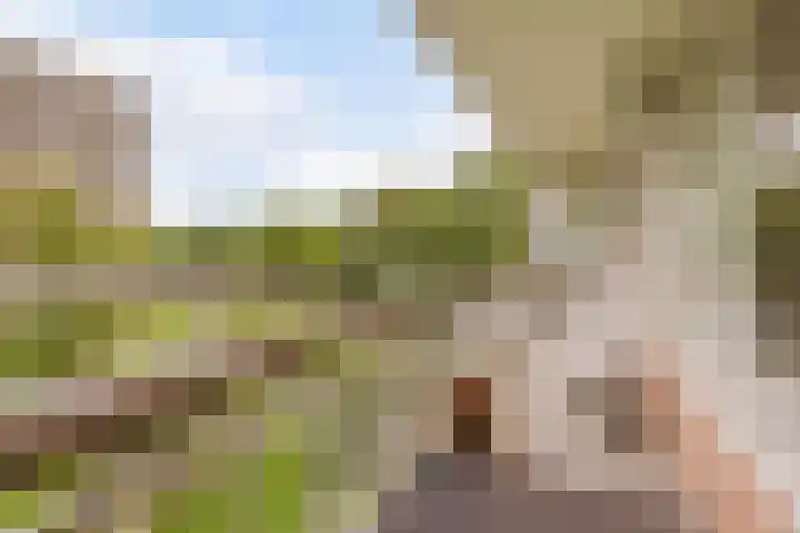 Nijenburg 19 Amsterdam thumbnail 23
