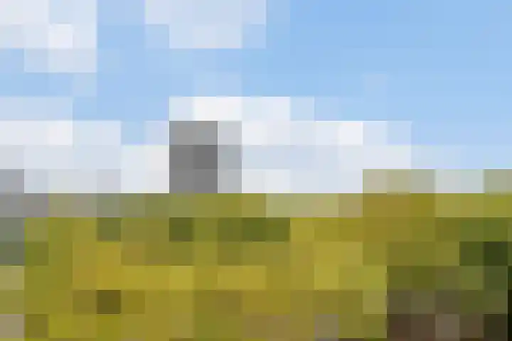Nijenburg 19 Amsterdam thumbnail 24
