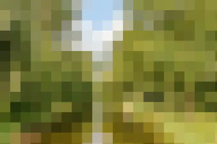 Nijenburg 19 Amsterdam thumbnail 25
