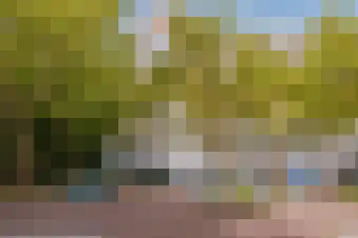 Nijenburg 19 Amsterdam thumbnail 30