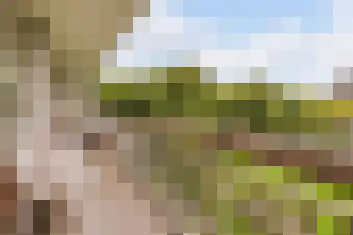 Nijenburg 19 Amsterdam thumbnail 5