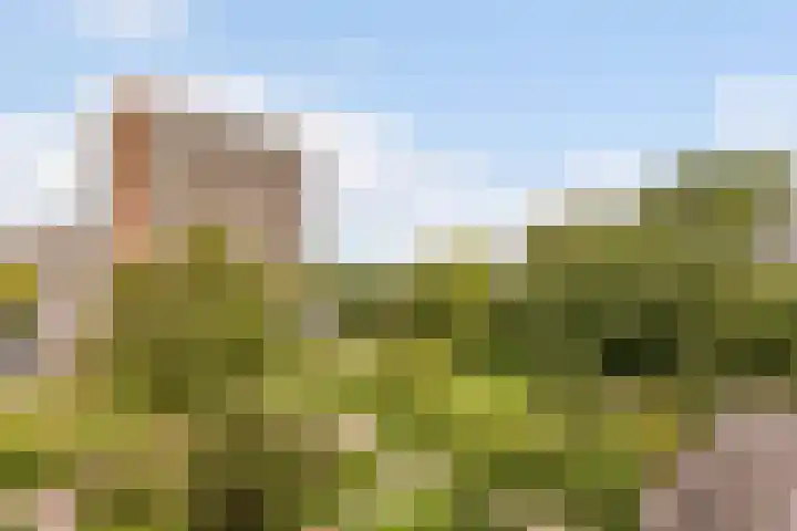 Nijenburg 19 Amsterdam thumbnail 6
