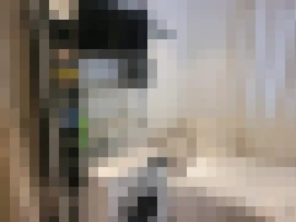 Nijenburg 24 Hoofddorp thumbnail 6