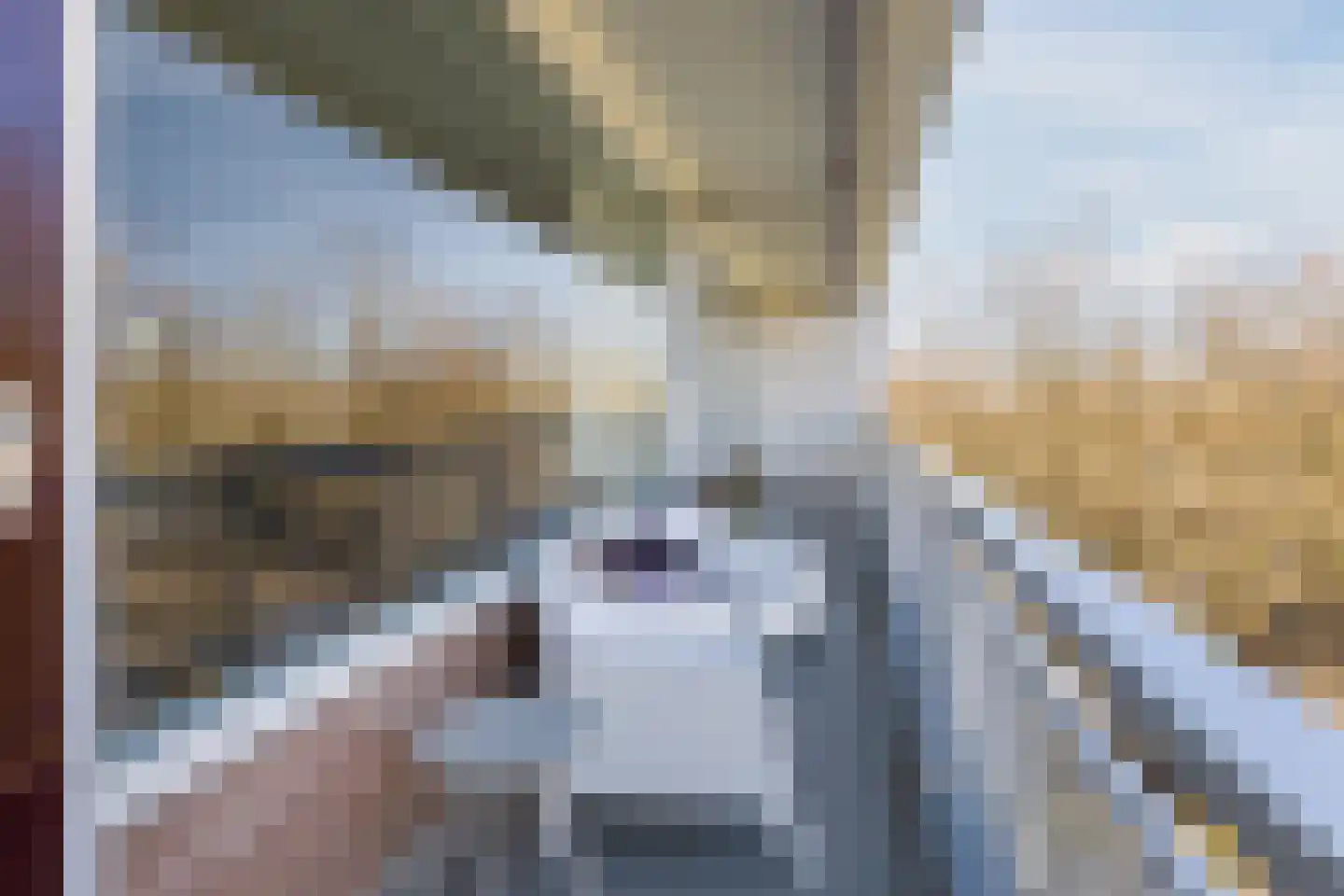 Nijenburg 25 Amsterdam thumbnail 12