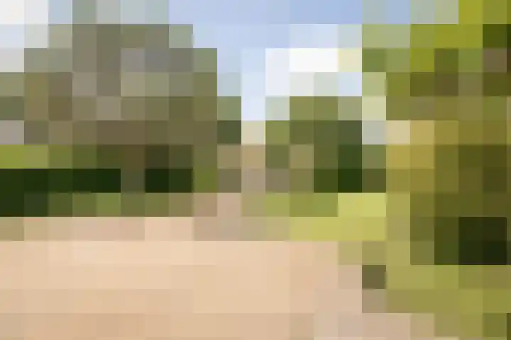 Nijenburg 29 Grootebroek thumbnail 10