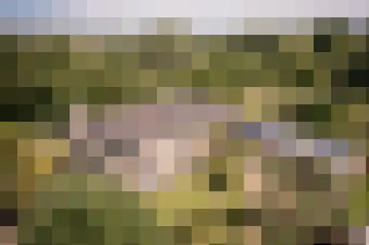 Nijenburg 29 Grootebroek thumbnail 111
