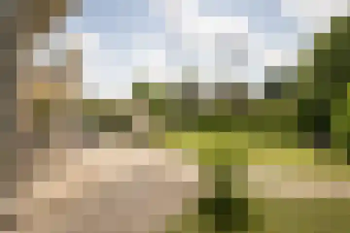 Nijenburg 29 Grootebroek thumbnail 12
