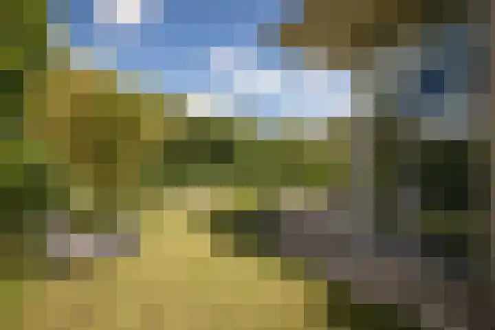 Nijenburg 29 Grootebroek thumbnail 13