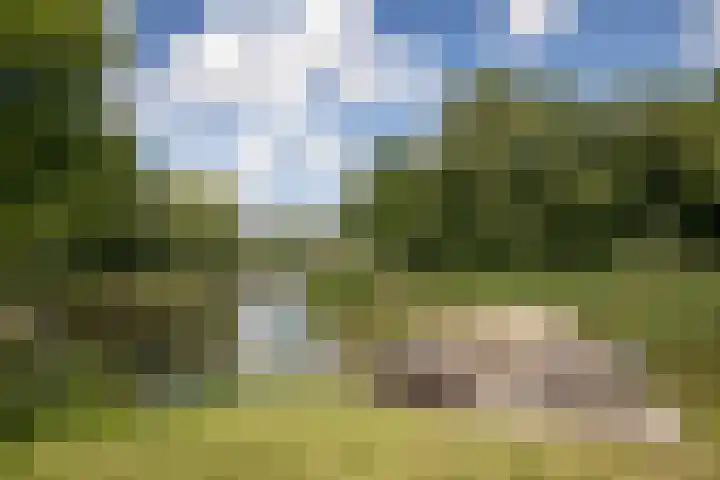 Nijenburg 29 Grootebroek thumbnail 14