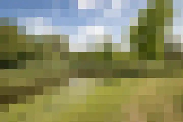 Nijenburg 29 Grootebroek thumbnail 16