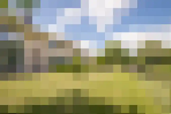 Nijenburg 29 Grootebroek thumbnail 17
