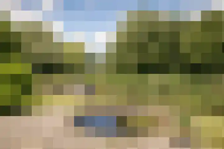 Nijenburg 29 Grootebroek thumbnail 19