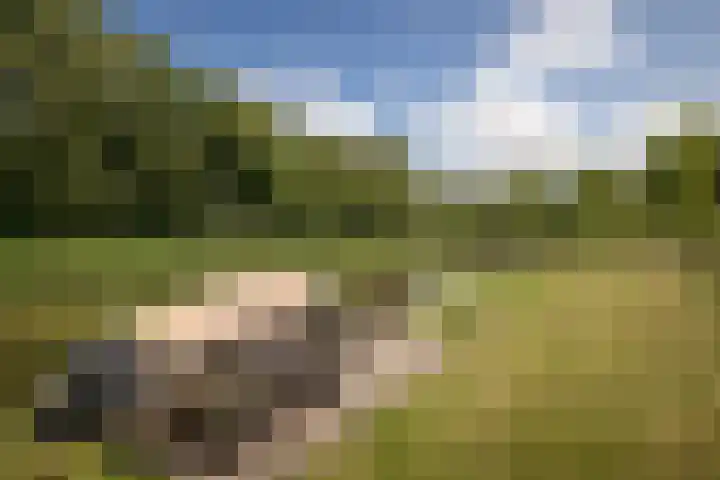 Nijenburg 29 Grootebroek thumbnail 20