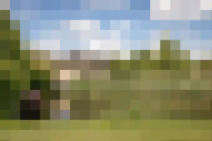 Nijenburg 29 Grootebroek thumbnail 23