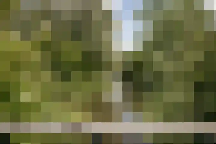 Nijenburg 29 Grootebroek thumbnail 24