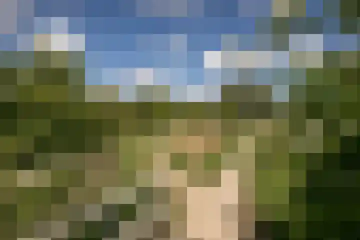 Nijenburg 29 Grootebroek thumbnail 25