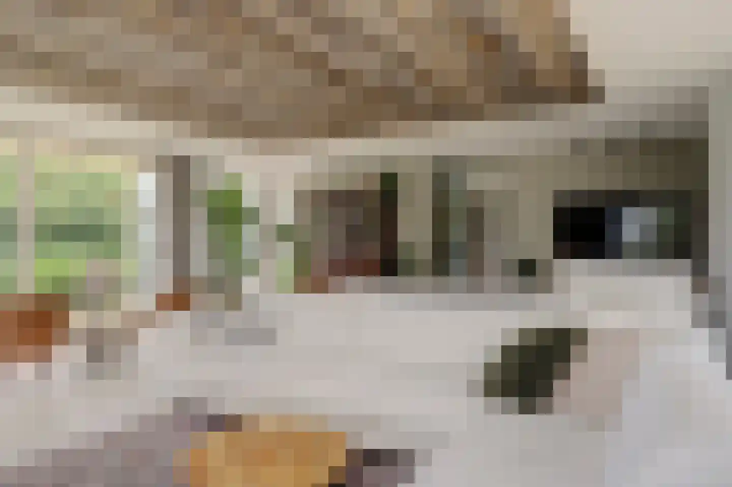 Nijenburg 29 Grootebroek thumbnail 25