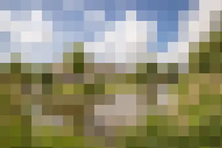 Nijenburg 29 Grootebroek thumbnail 26
