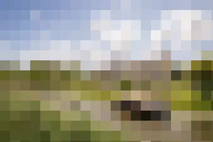 Nijenburg 29 Grootebroek thumbnail 27