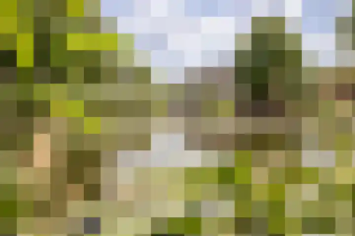 Nijenburg 29 Grootebroek thumbnail 28