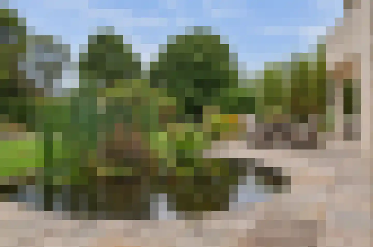 Nijenburg 29 Grootebroek thumbnail 29