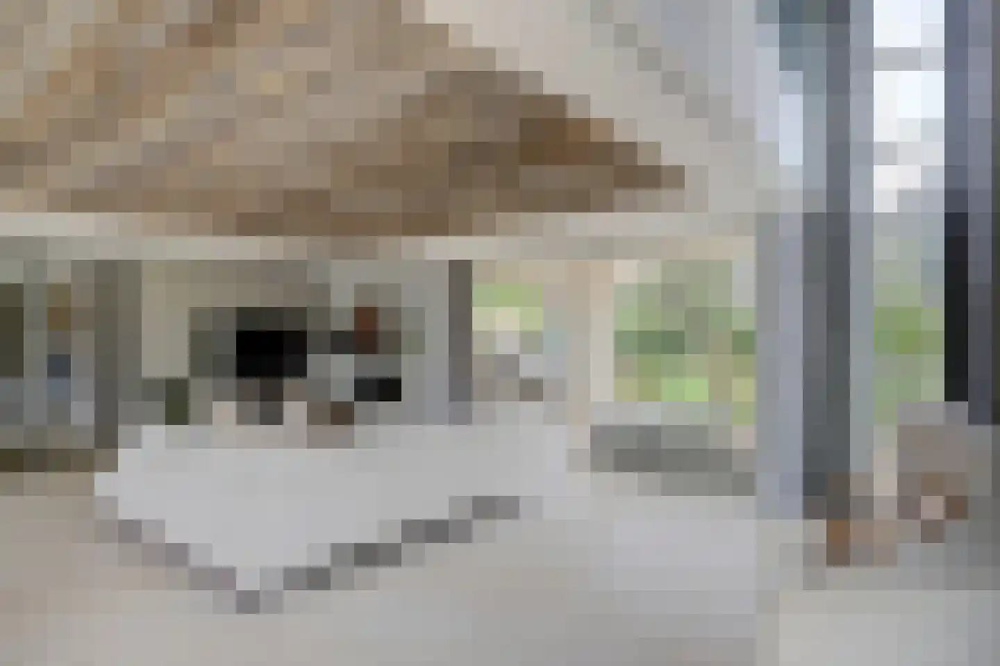 Nijenburg 29 Grootebroek thumbnail 32