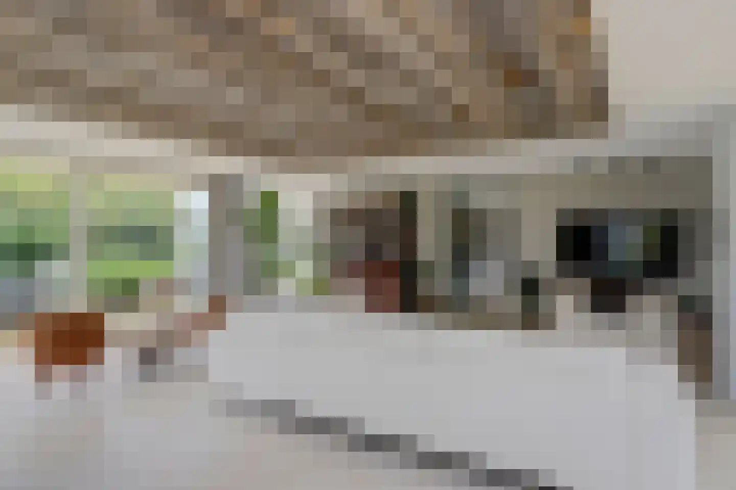 Nijenburg 29 Grootebroek thumbnail 34