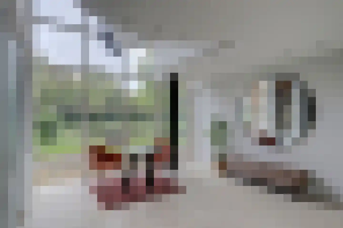 Nijenburg 29 Grootebroek thumbnail 4