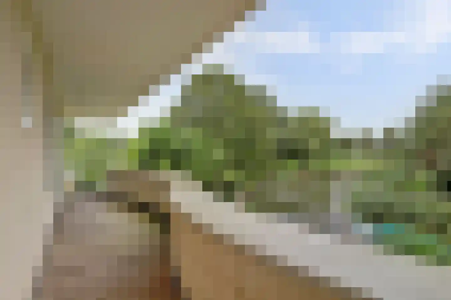 Nijenburg 29 Grootebroek thumbnail 43
