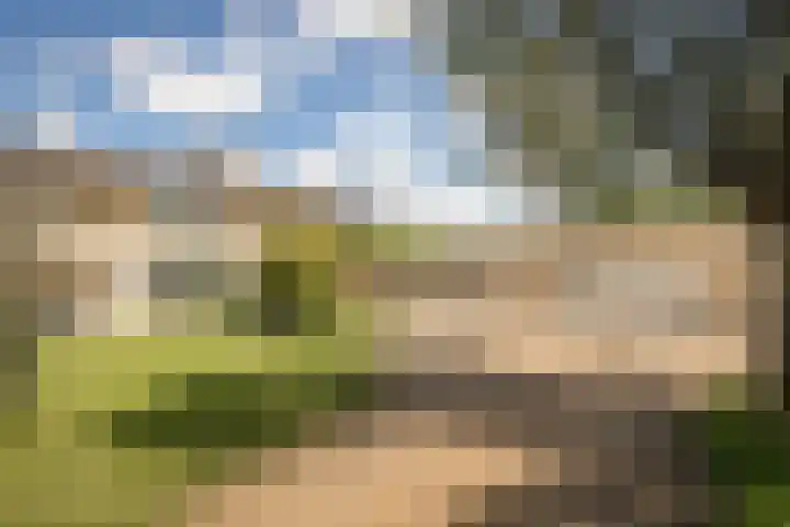 Nijenburg 29 Grootebroek thumbnail 6