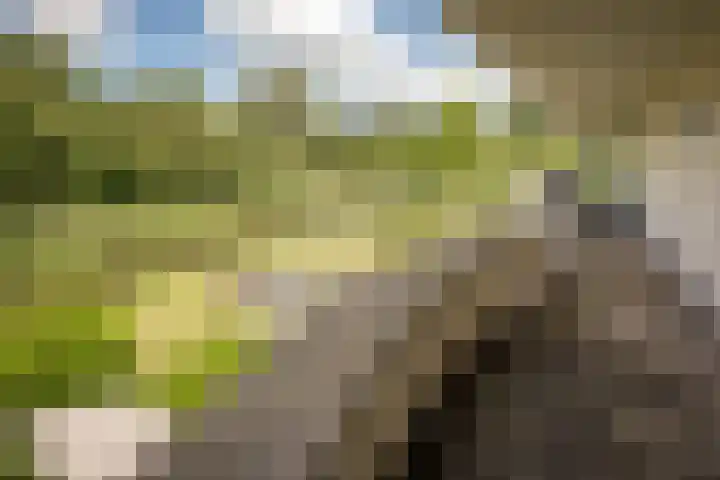 Nijenburg 29 Grootebroek thumbnail 62