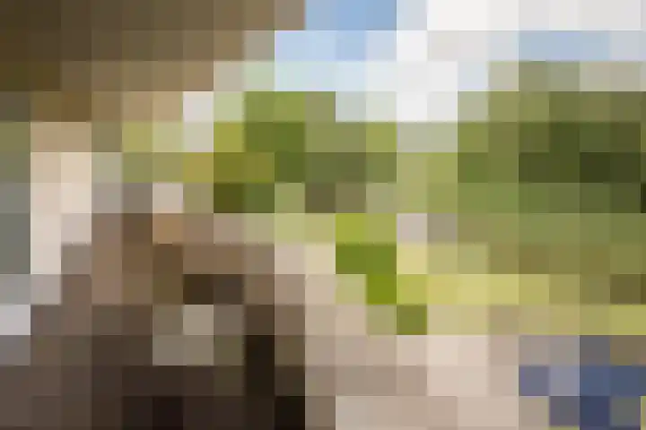 Nijenburg 29 Grootebroek thumbnail 63