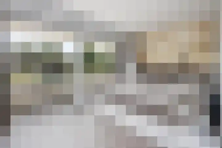 Nijenburg 29 Grootebroek thumbnail 69