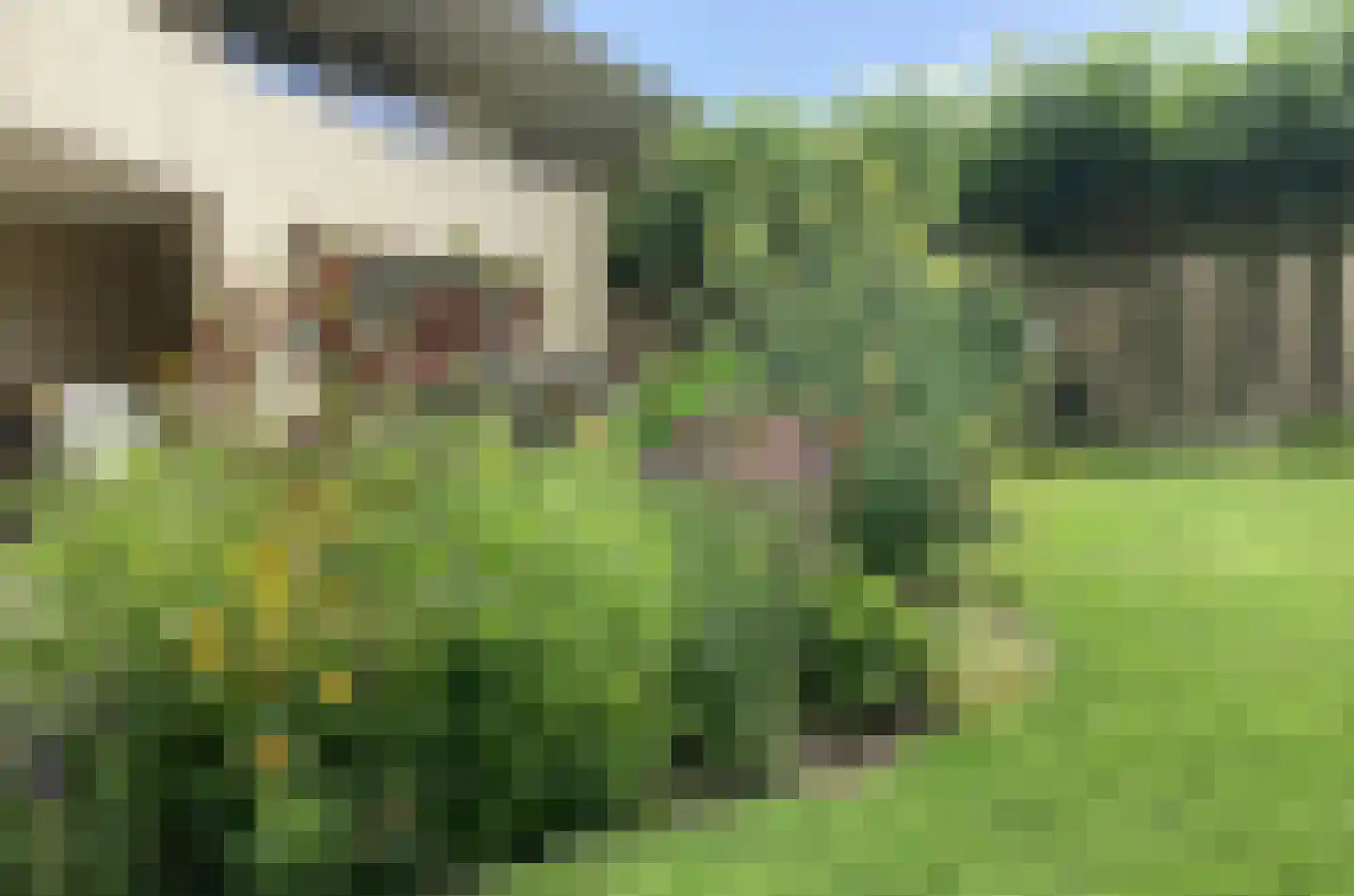 Nijenburg 29 Grootebroek thumbnail 69