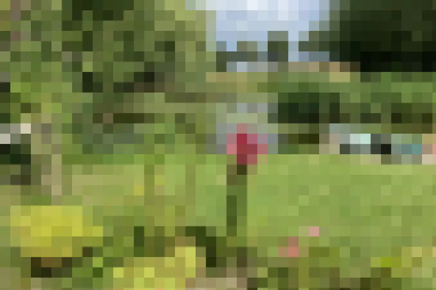 Nijenburg 29 Grootebroek thumbnail 71